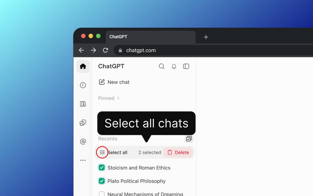 ChatGPT Bulk Delete - 截图 4