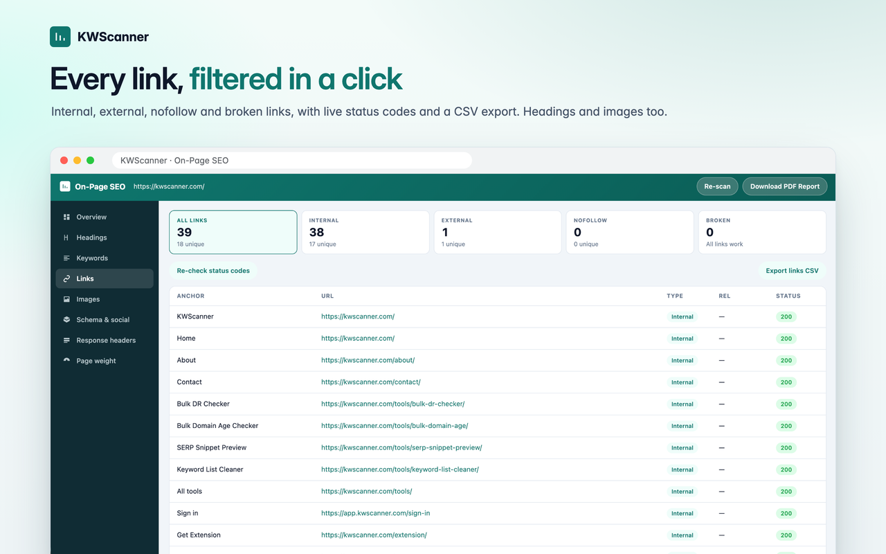 KWScanner — Keyword Research Tool - 截图 1