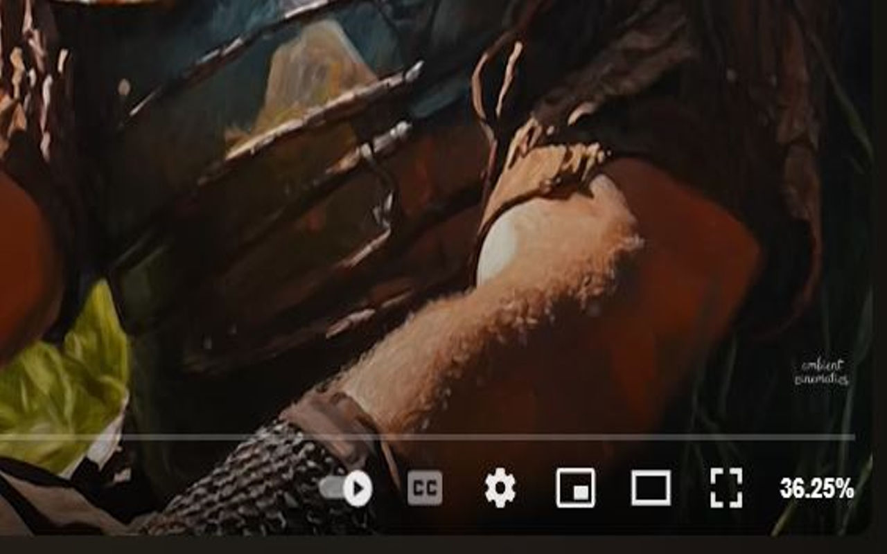 YouTube Progress Percentage - 截图 2