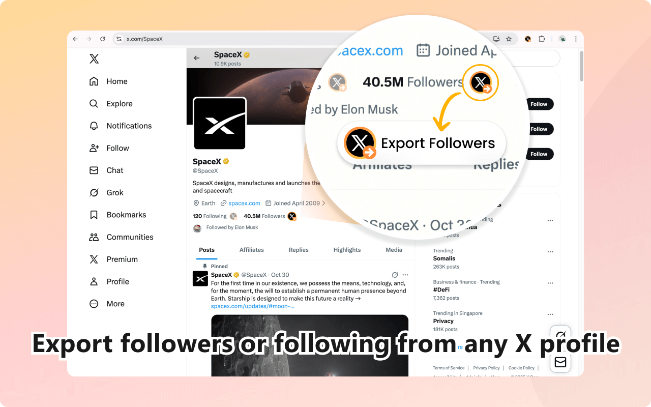 XFollowExporter - 导出X/Twitter粉丝和关注 - 截图 3