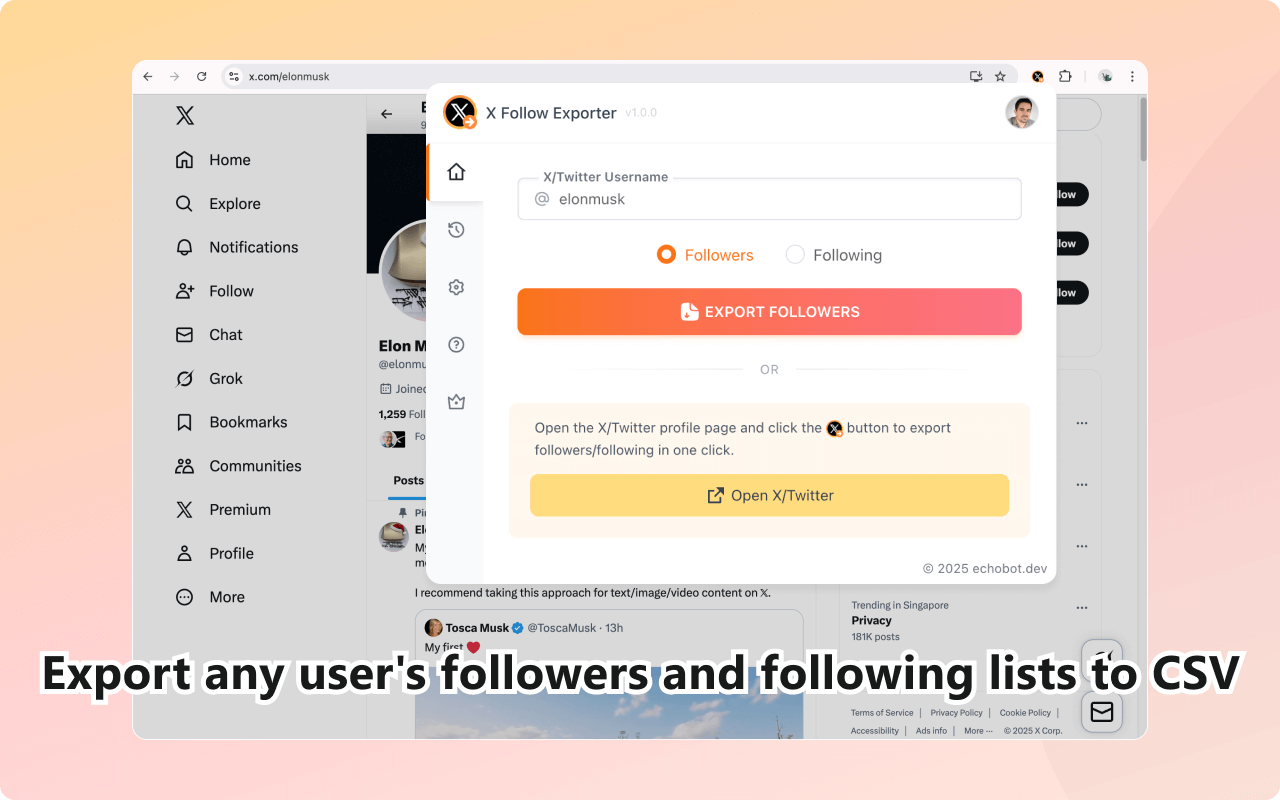 XFollowExporter - 导出X/Twitter粉丝和关注 - 截图 4