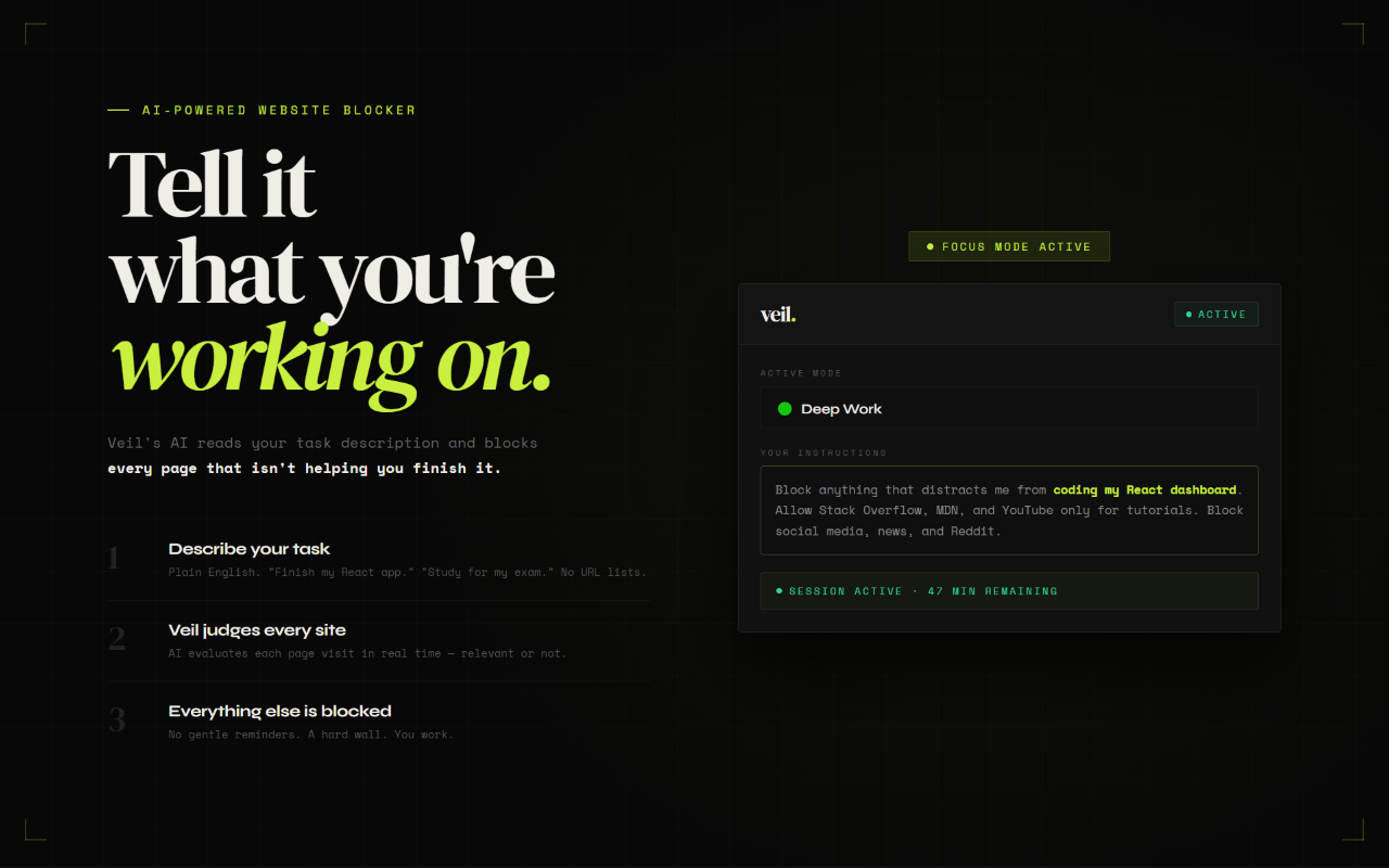 Veil – The Intelligent Website Blocker - 截图 3