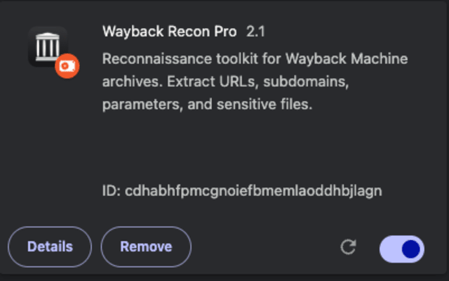 Wayback Recon Pro - 截图 1