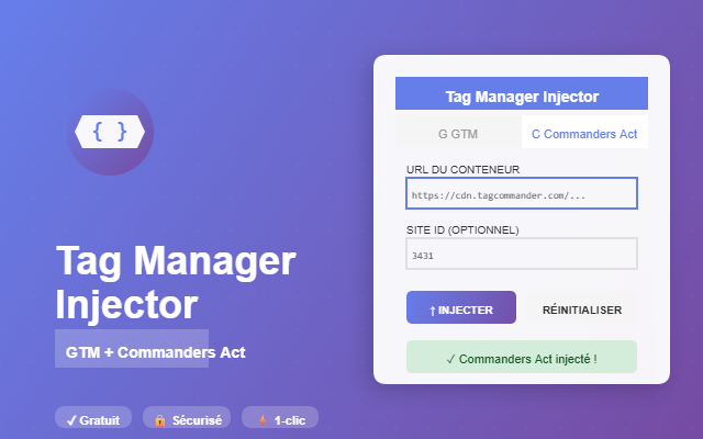 Tag Manager Injector - 截图 1