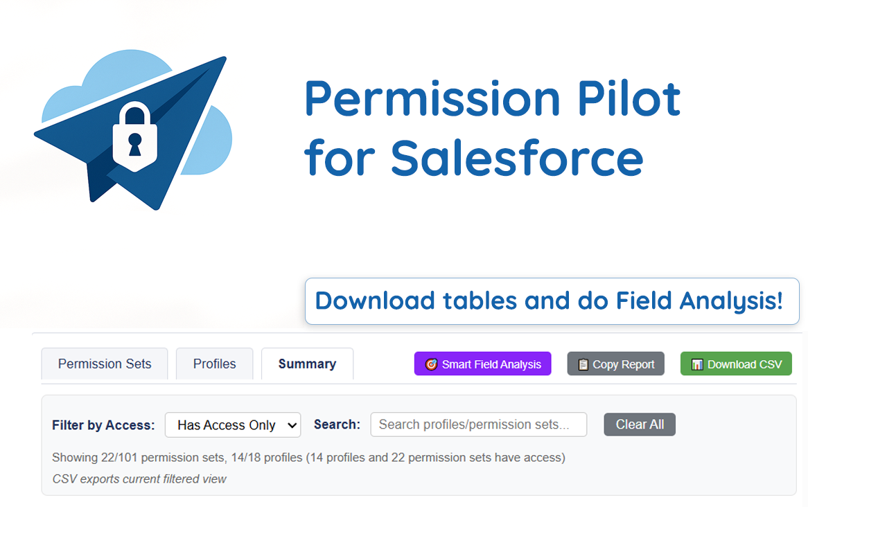 Permission Pilot for Salesforce - 截图 3