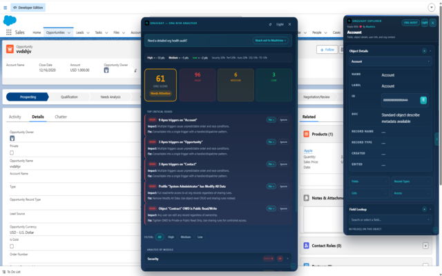 OrgSight for Salesforce - 截图 1