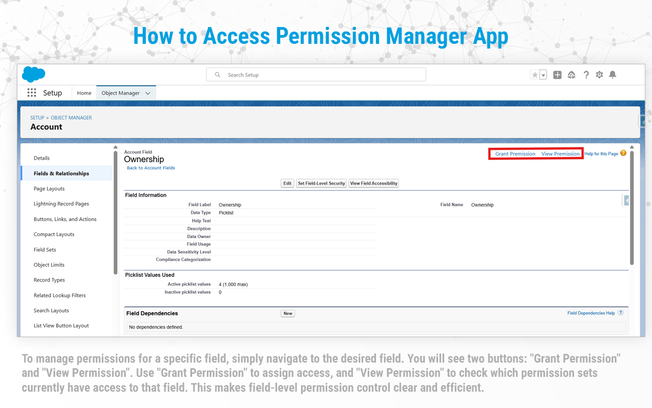 Salesforce Permission Set Manager - 截图 4