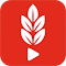 YuLaF – YouTube 语言过滤器。沉浸与专注