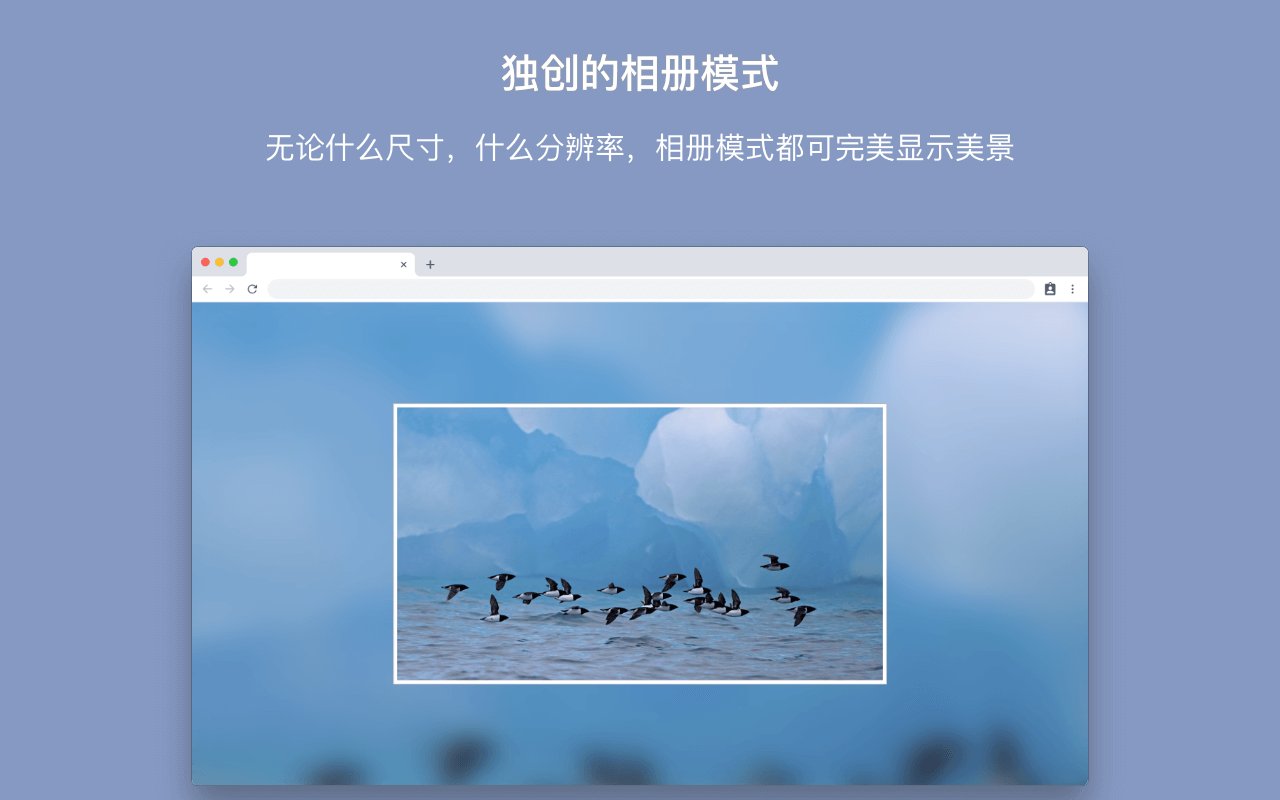 简 Tab (SimpTab) - 新标签页 - 截图 2