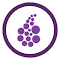 Onion Browser Button