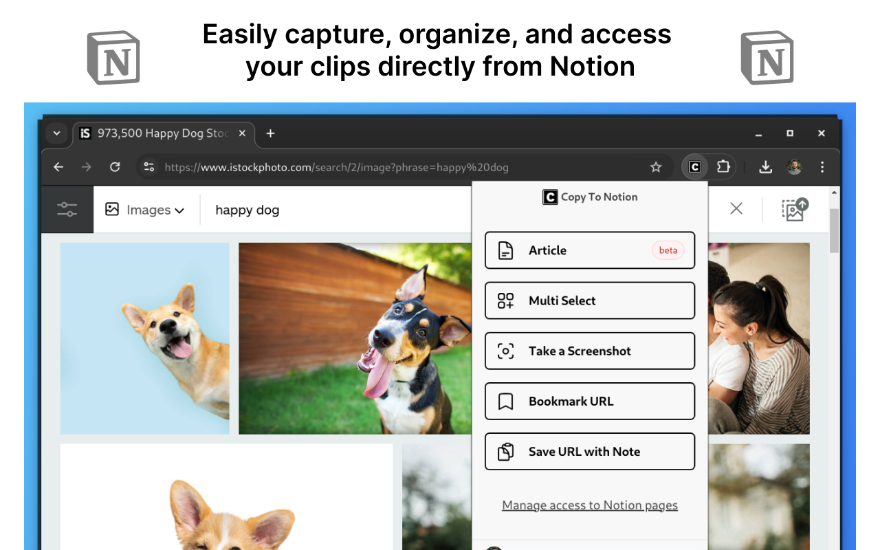 Copy To Notion: Clip anything to Notion - 截图 3