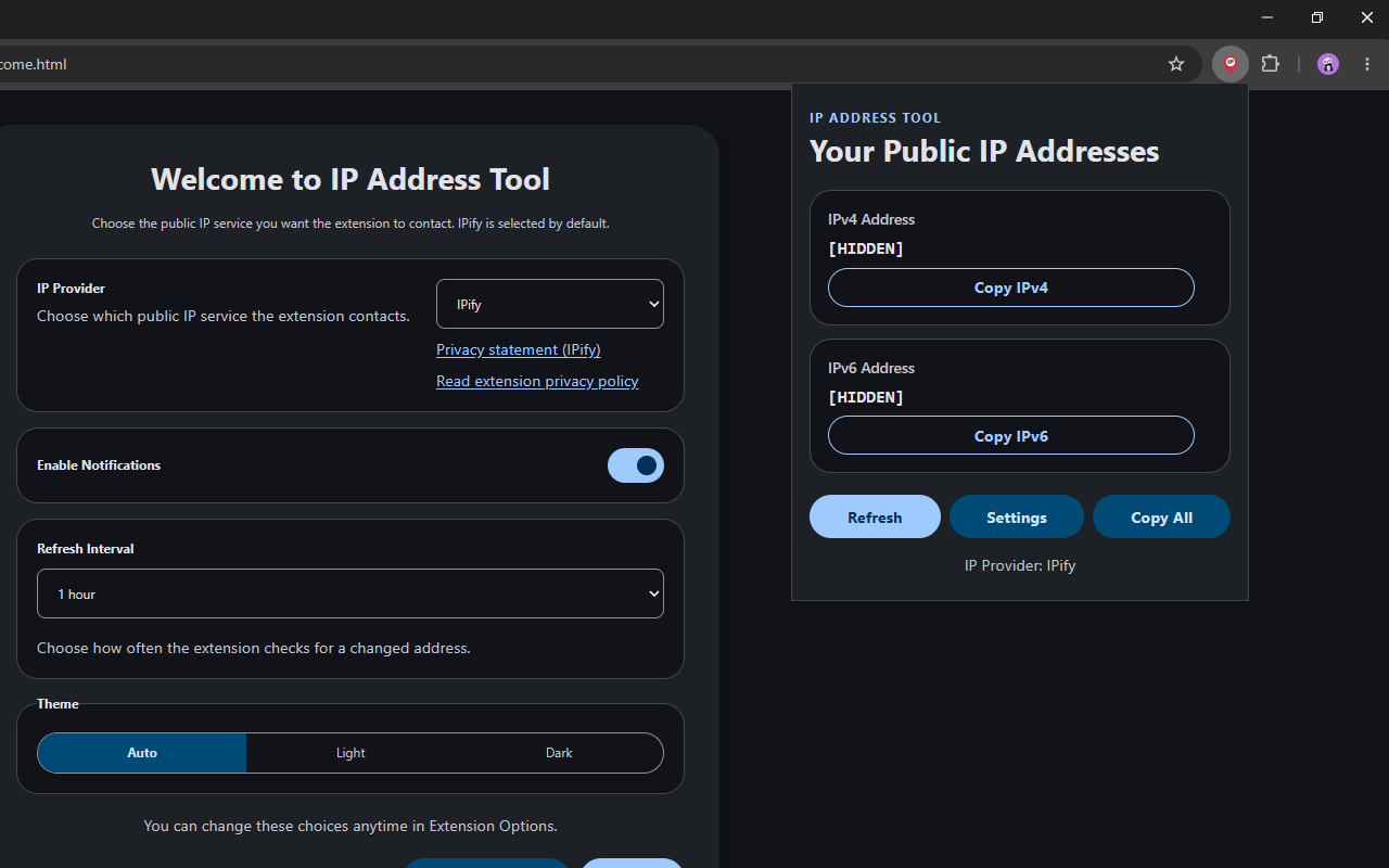 IP Address Tool - 截图 2