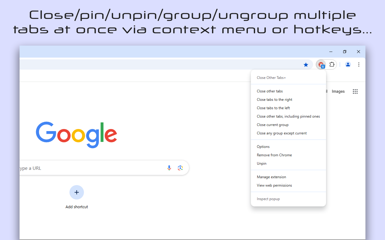 Close Other Tabs+ - 截图 3