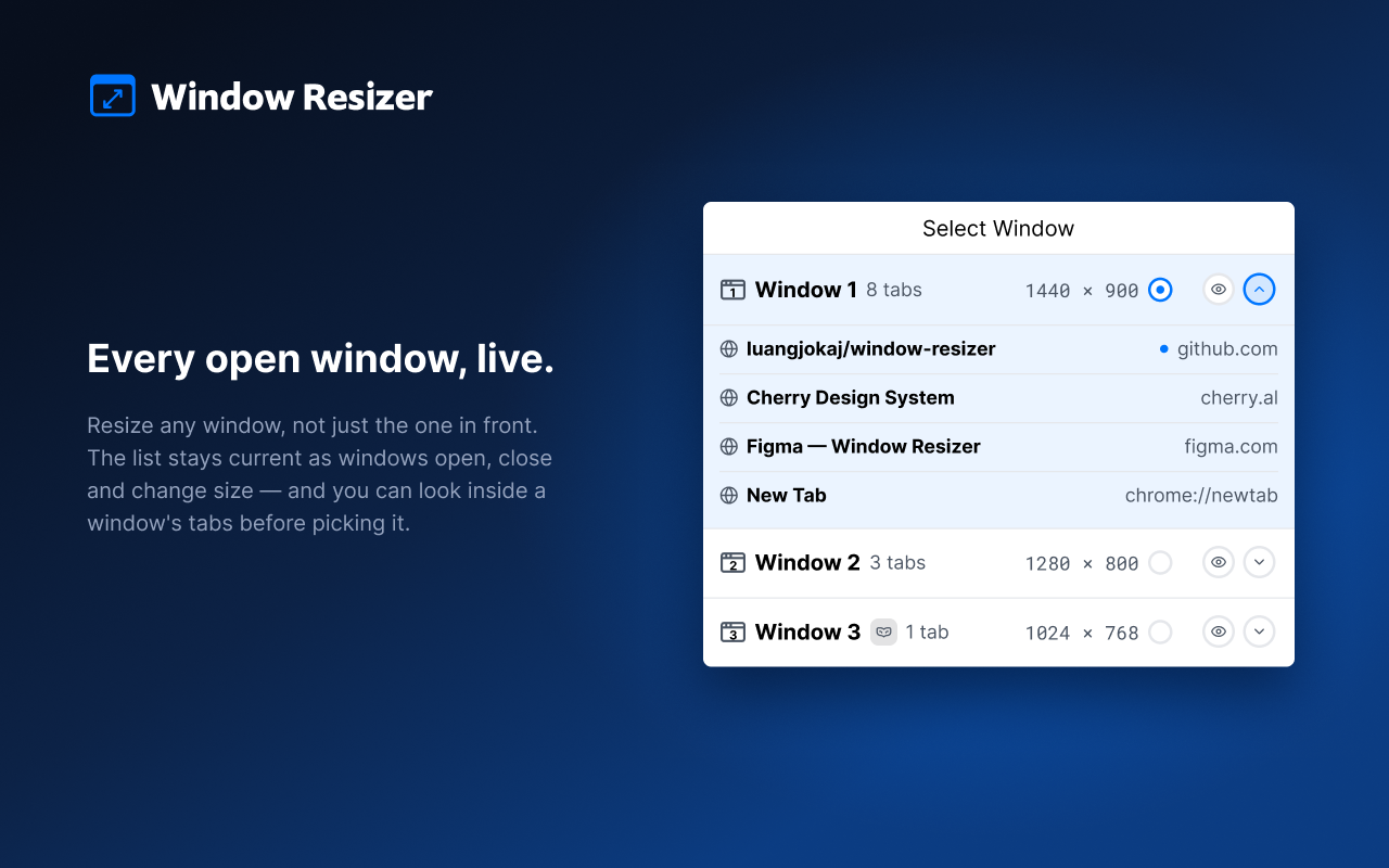 Window Resizer - 截图 1