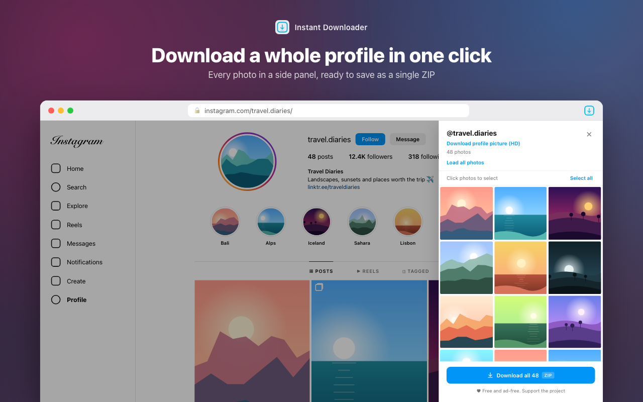 Instant Downloader - 截图 2