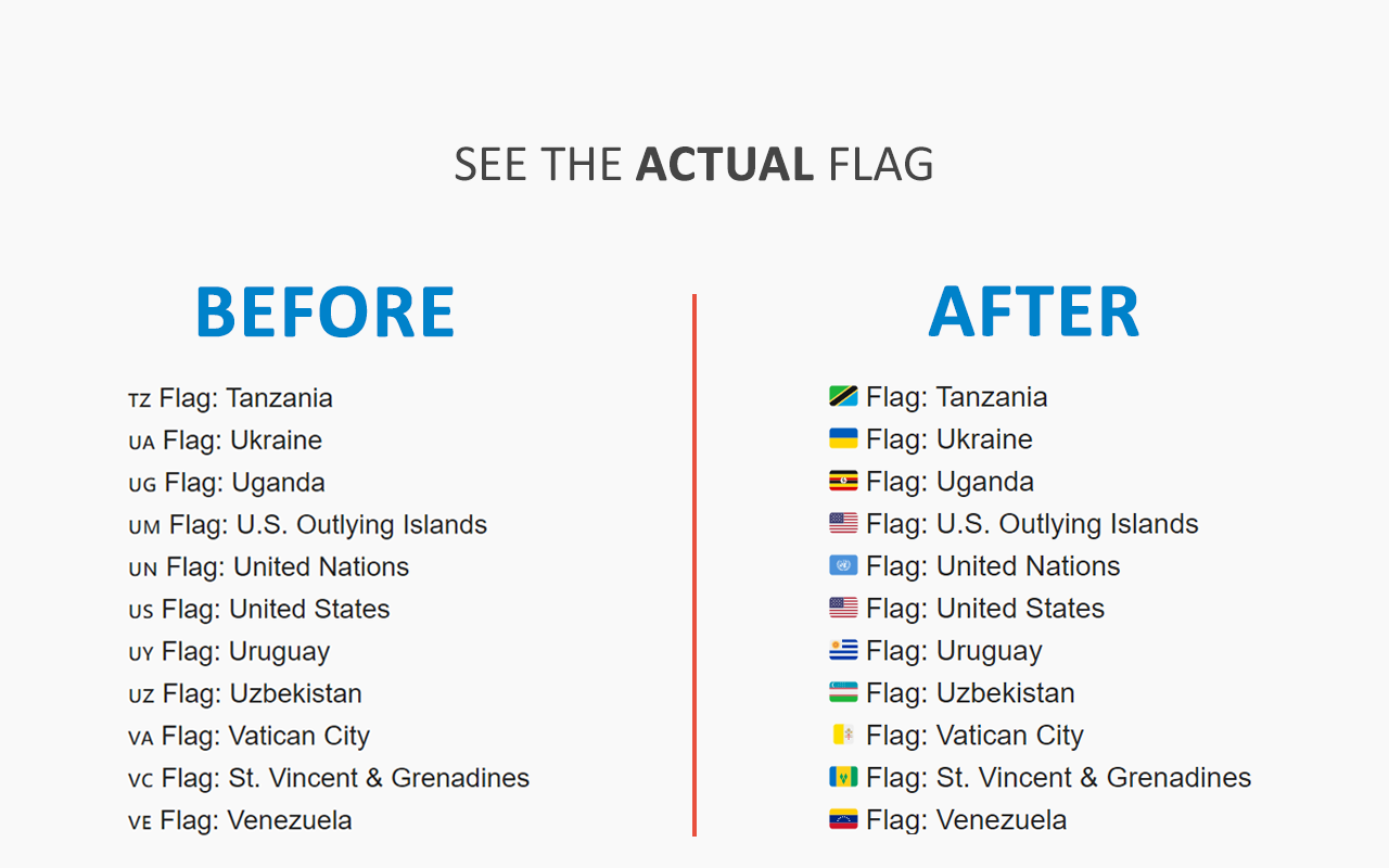 Country Flag Fixer - 截图 1