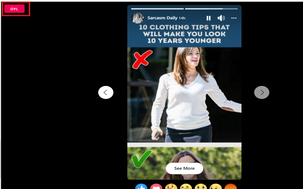 DYL Download Facebook Video - 截图 3