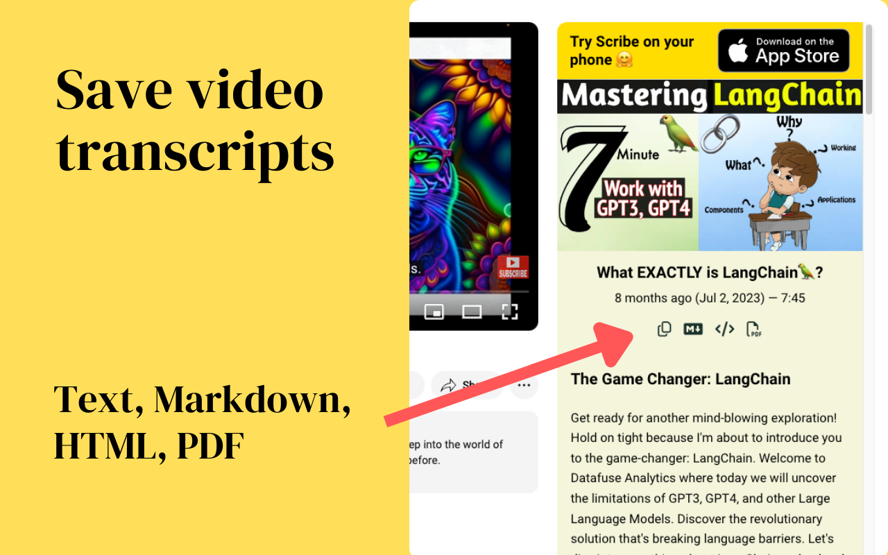 QuickScribe - Instant YouTube Transcripts - 截图 3