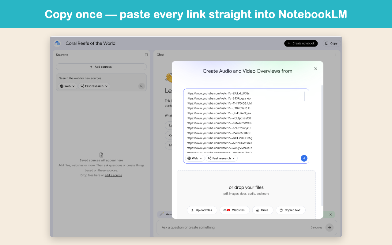 YouTube URL Extractor — Playlist & Channel Links to CSV - 截图 4