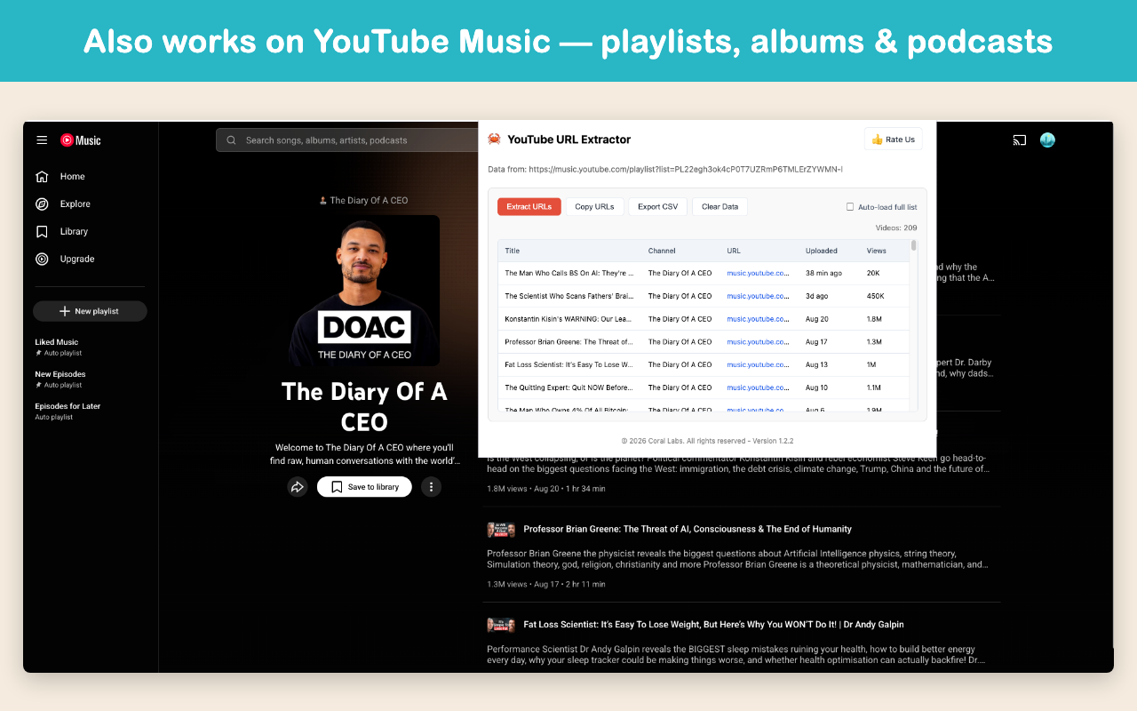 YouTube URL Extractor — Playlist & Channel Links to CSV - 截图 5