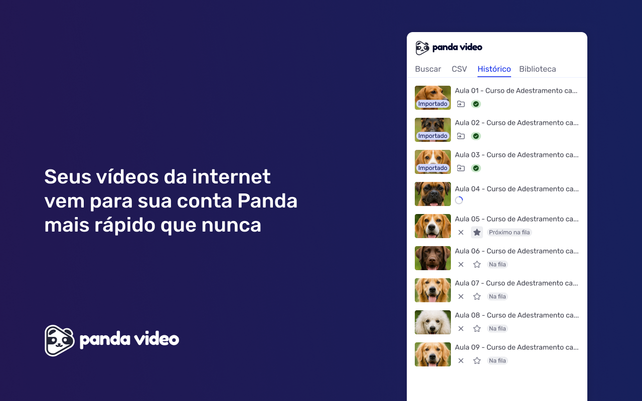 Panda Video - 截图 3