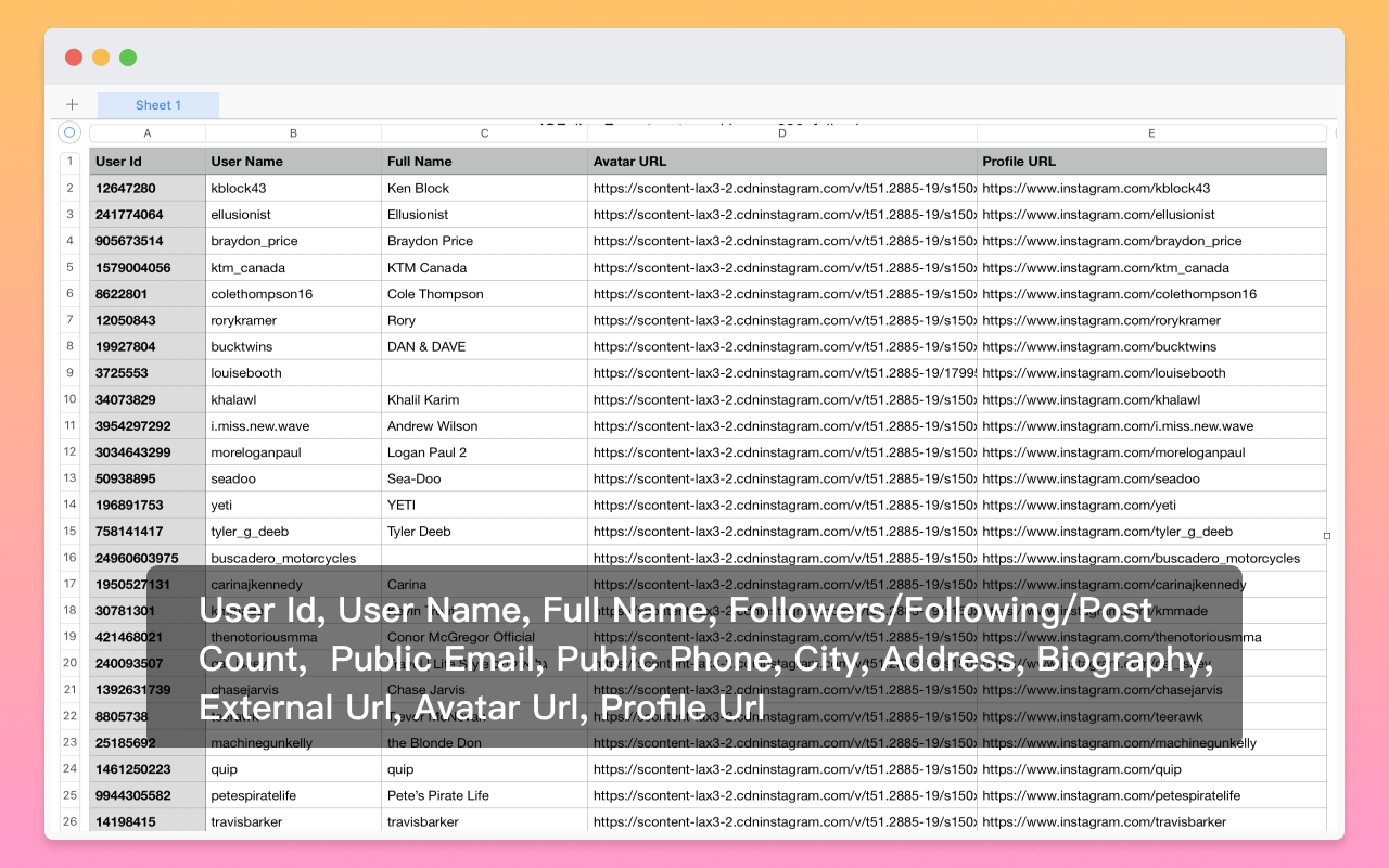 Email Scraper for Ins - 截图 4
