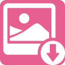 Image & Video Downloader for Ins