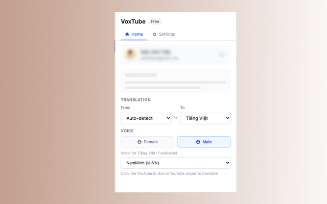 VoxTube — AI Dubbing for YouTube - 截图 2