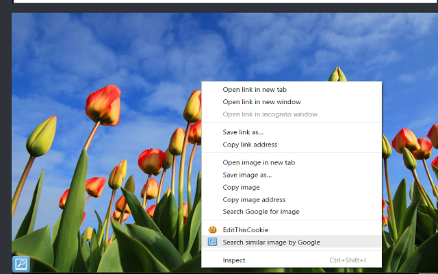 Image Searcher - 截图 2