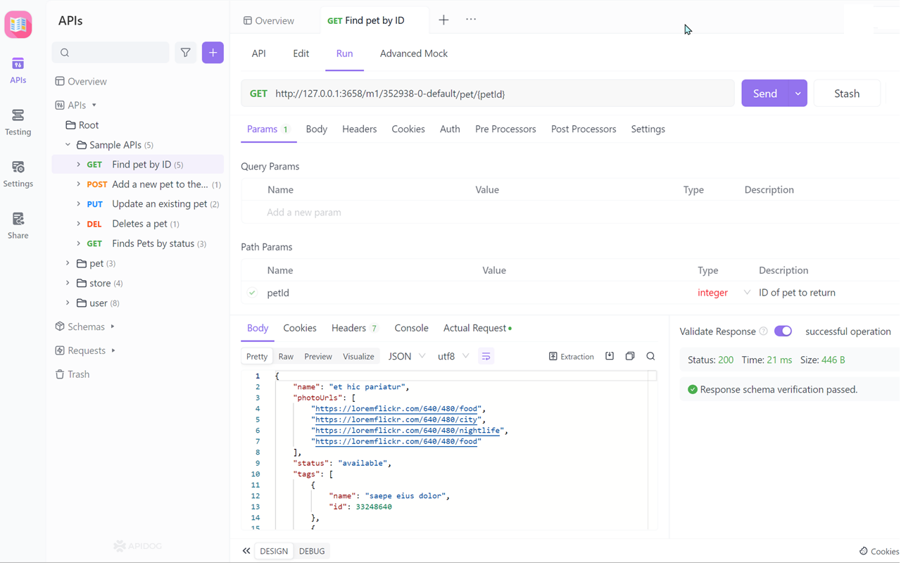 Apidog Browser Extension - 截图 1
