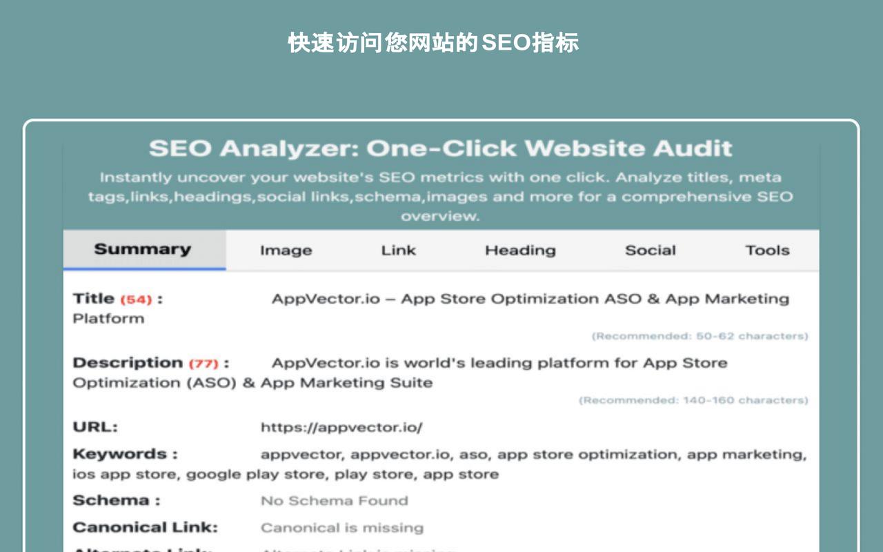 SEO分析器:一键网站审计 - 截图 1