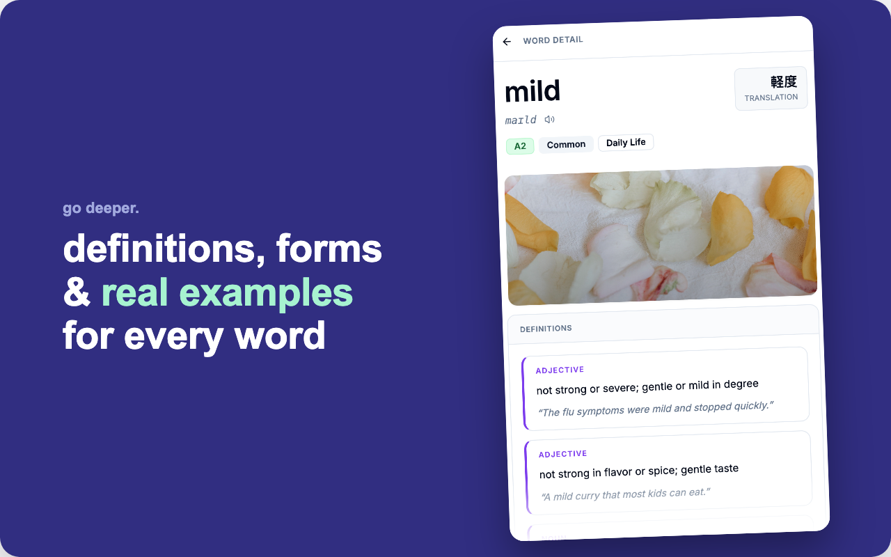 HighVocab: Vocabulary Builder - 截图 5