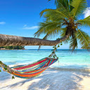 Summer Wallpaper