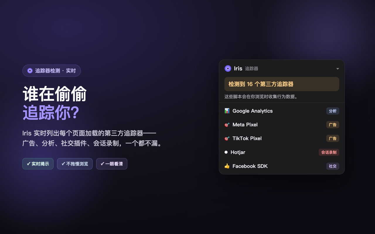Iris — 隐私与 AI 安全 - 截图 2