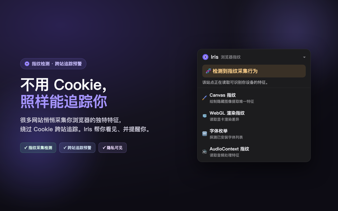 Iris — 隐私与 AI 安全 - 截图 4