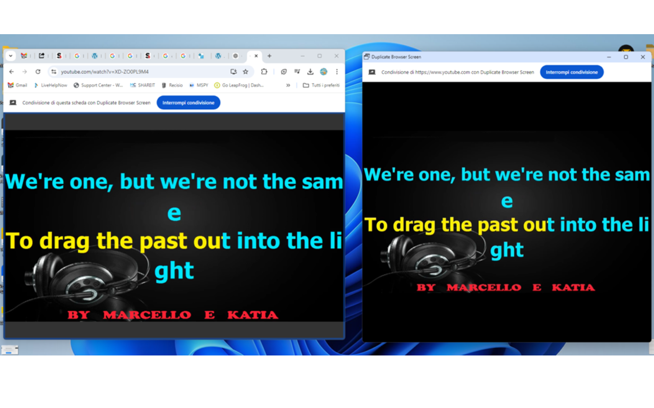 Duplicate Browser Screen - 截图 2