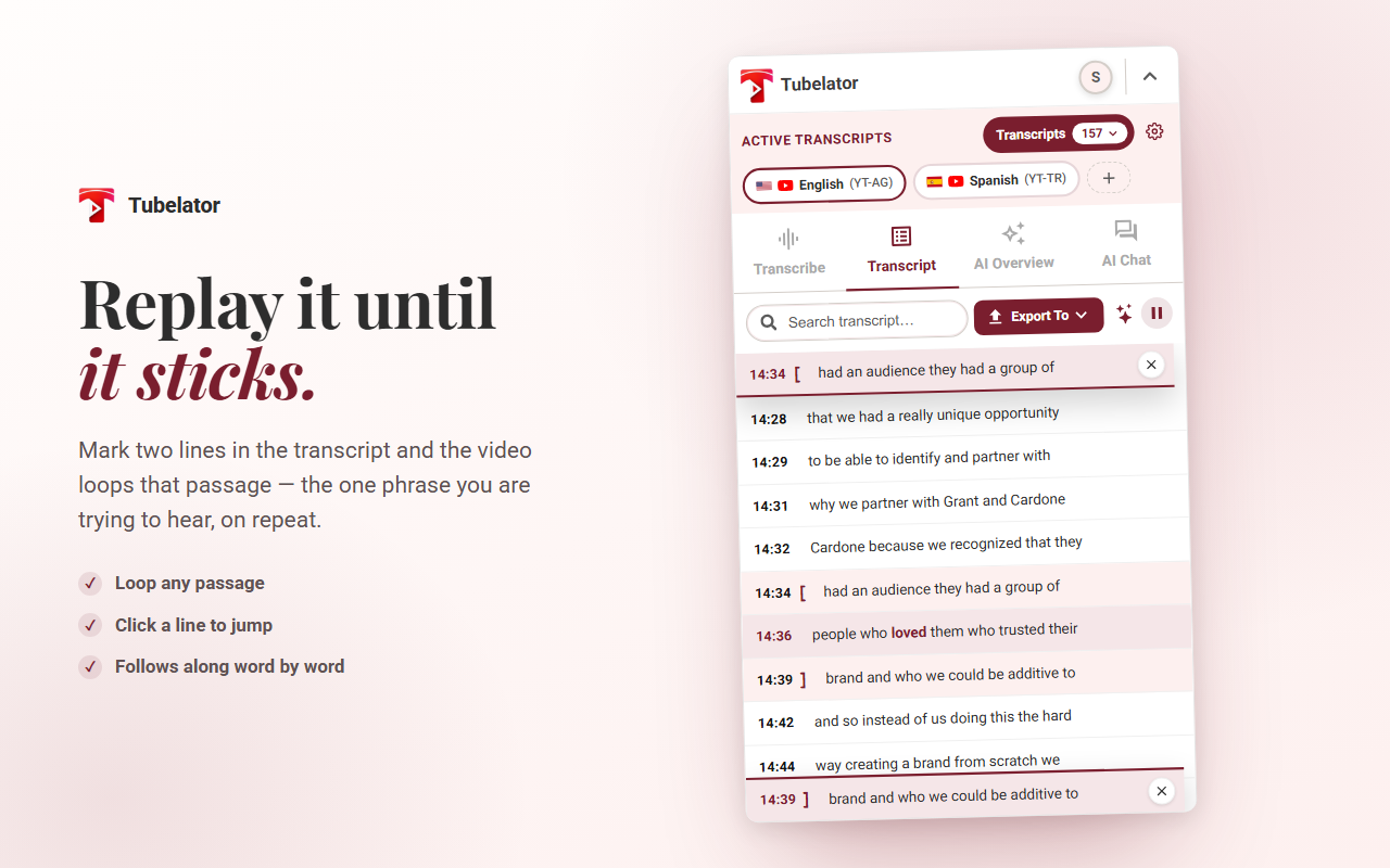 Tubelator: AI Subtitles, Summaries & Transcript Export for YouTube - 截图 4