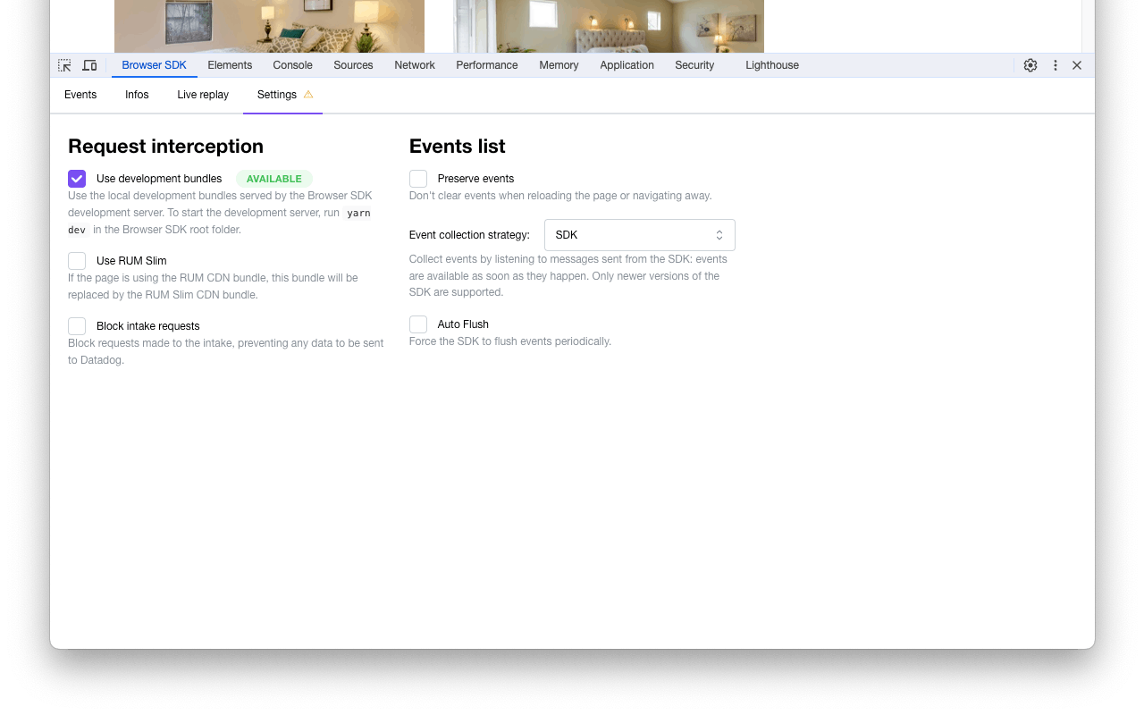 Datadog Browser SDK developer extension - 截图 2