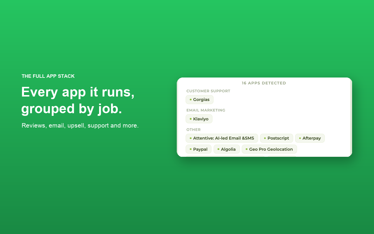 Shopify Theme Detector — Theme & App Finder - 截图 3