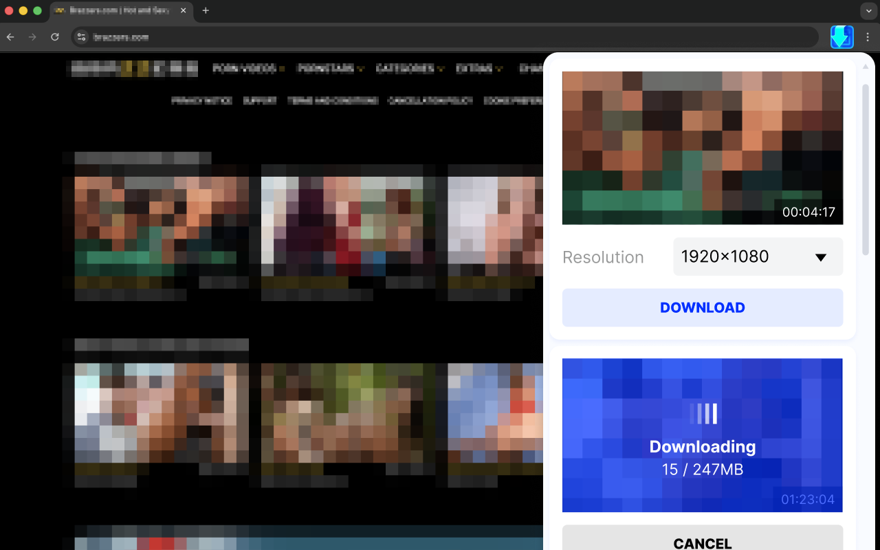 Video Downloader & Live Stream Recorder - OnlyMaster - 截图 4