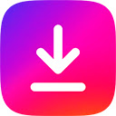 Instagram™ 视频下载器