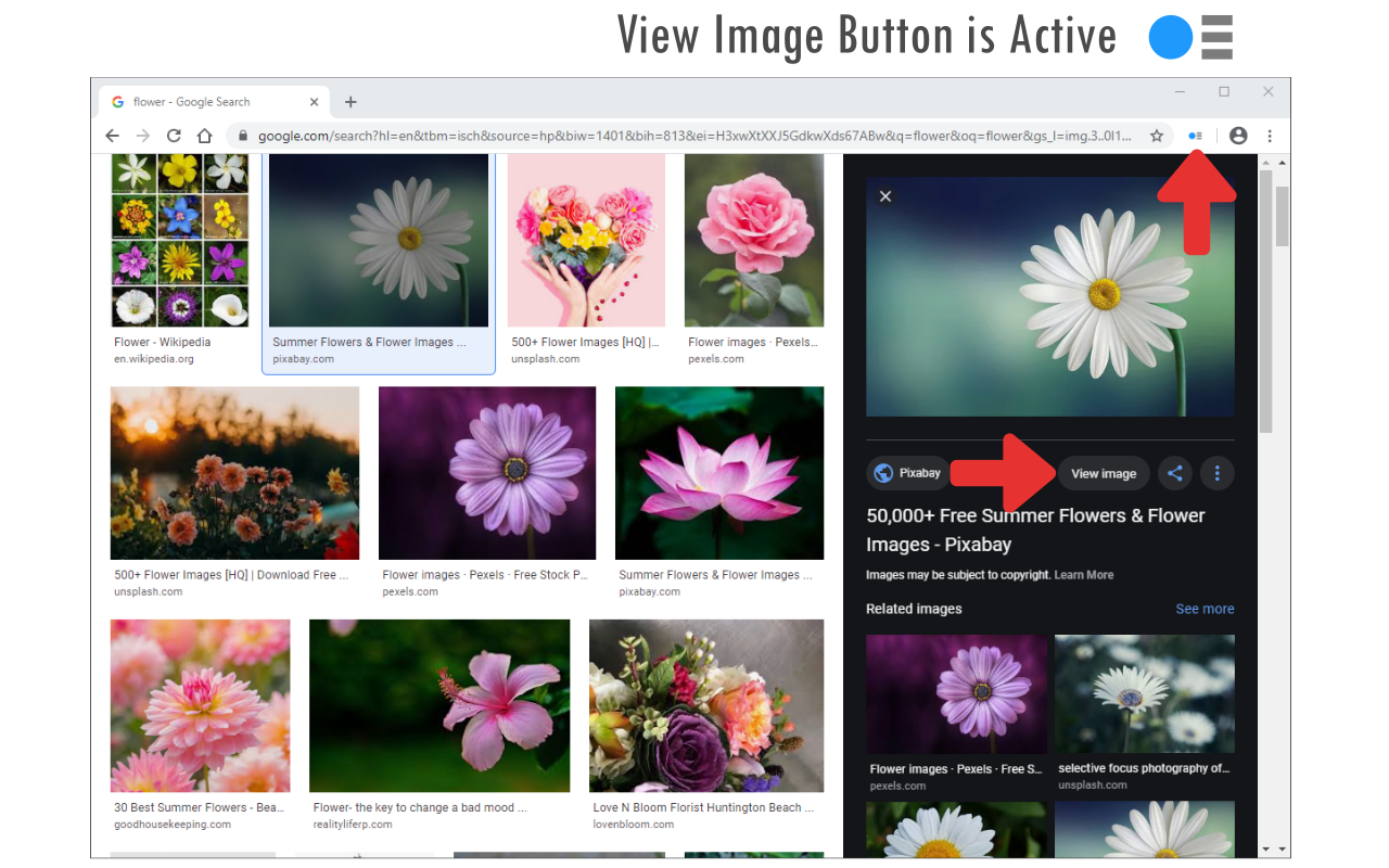 View Image Button - 截图 1