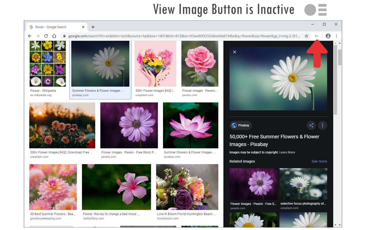 View Image Button - 截图 2