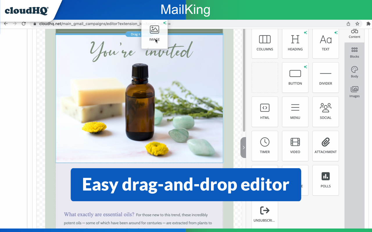 MailKing: Email Campaigns in Gmail by cloudHQ - 截图 2