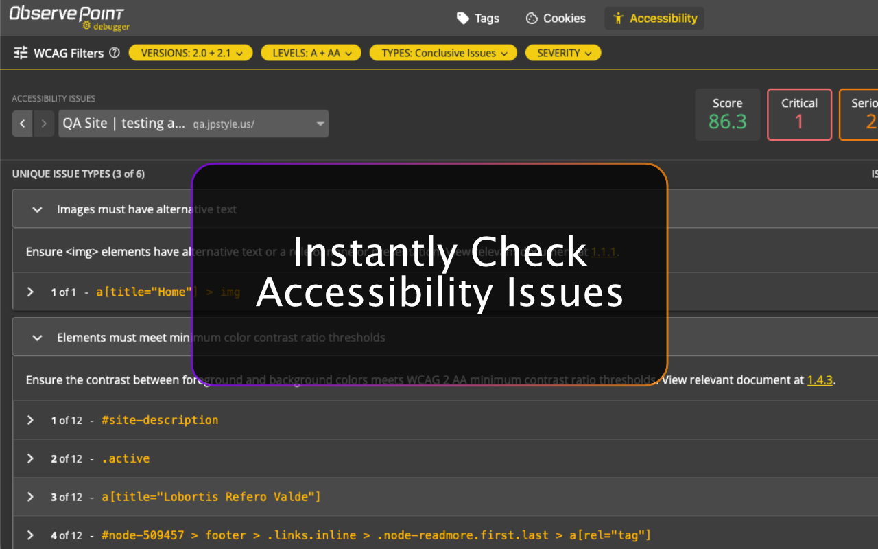 ObservePoint Debugger - 截图 3