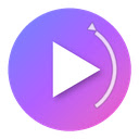 FlowForge Pro - Veo AI Automator