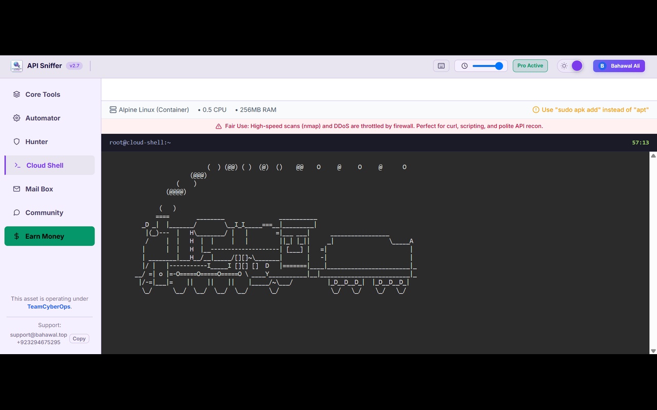 API Sniffer - Endpoint Detector - 截图 2