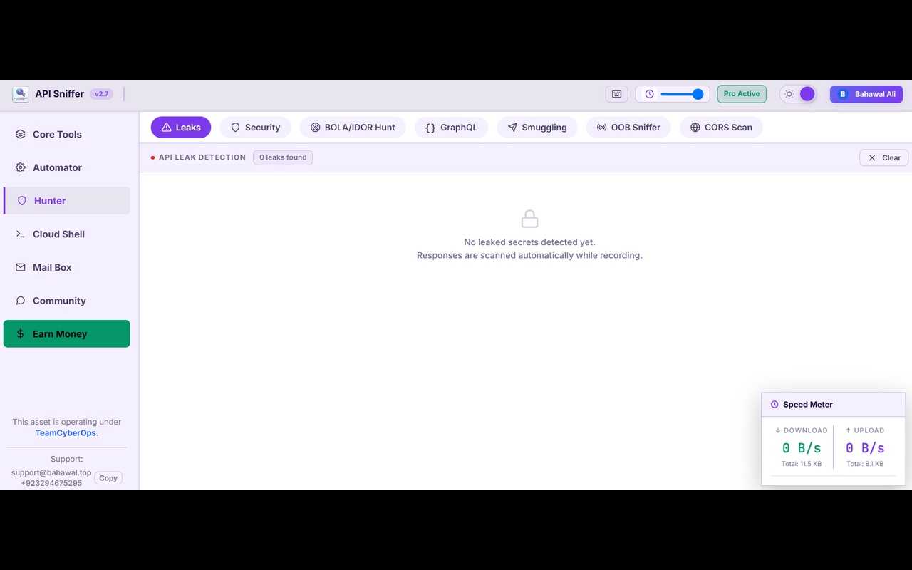 API Sniffer - Endpoint Detector - 截图 3