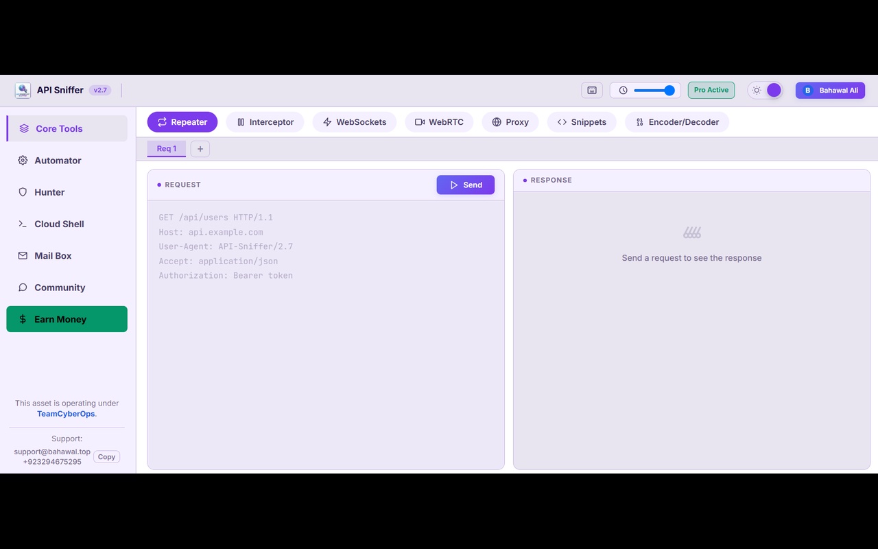 API Sniffer - Endpoint Detector - 截图 4
