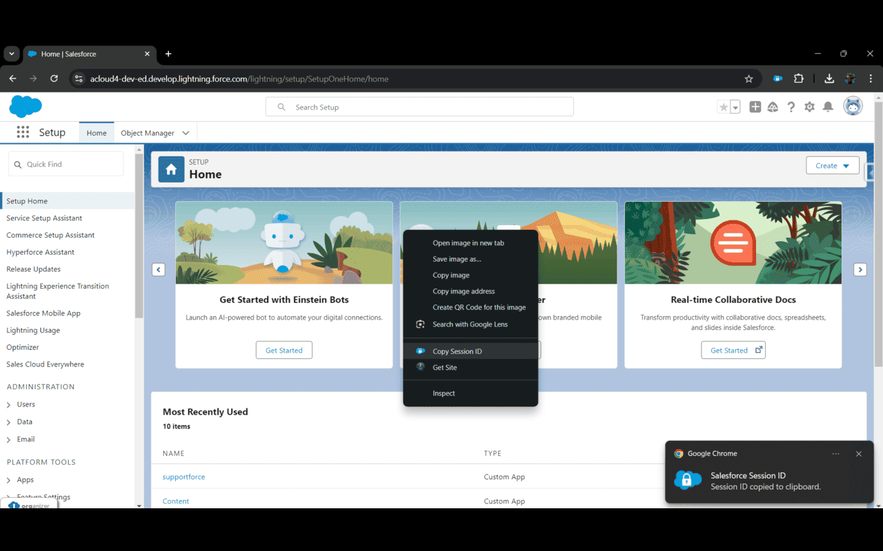 Salesforce Session - 截图 2